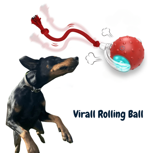 Wag&Purr Rolling Ball